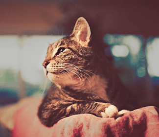 求职找什么网 求职找什么网站比较好