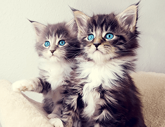 人事面试流程与步骤？公司面试流程步骤