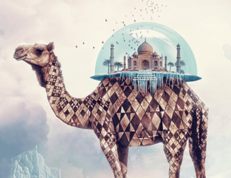 江苏烟草局求职理由(江苏烟草局求职理由怎么写)