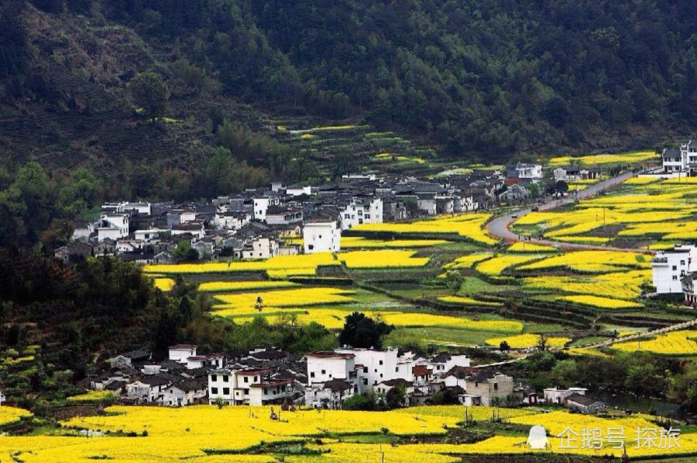 红色沃土，青春足迹，江西之旅感悟录