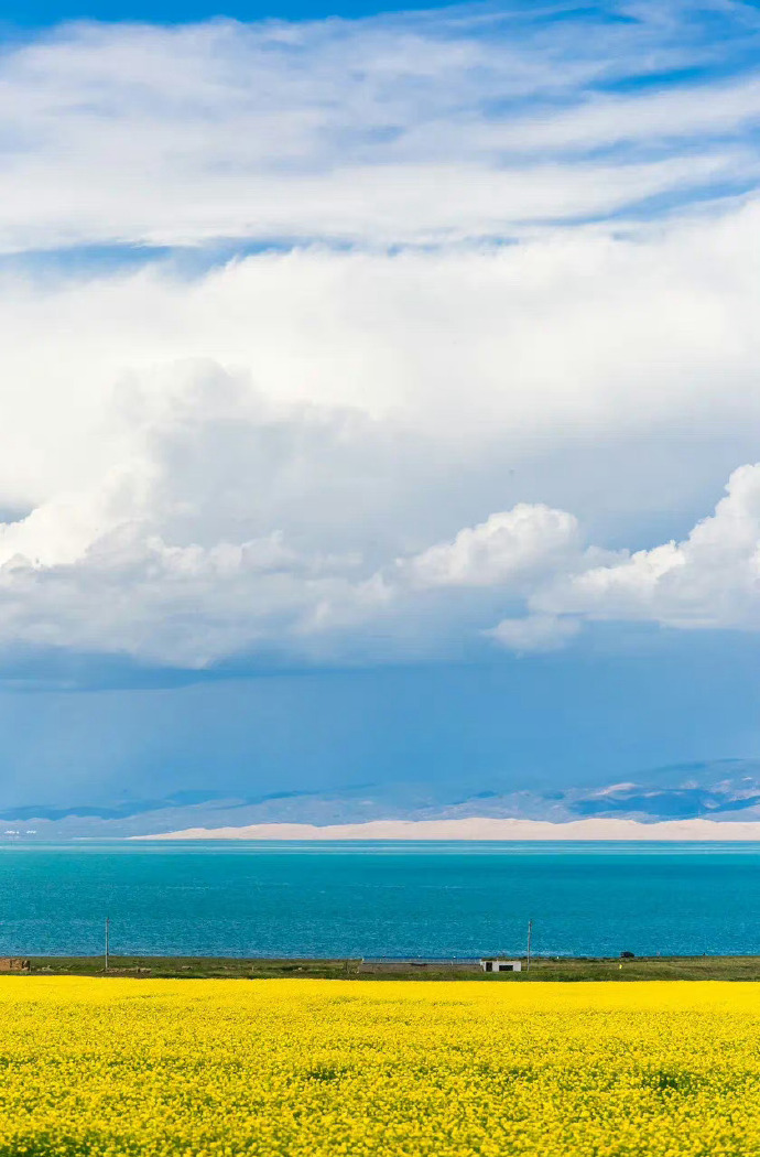 青海之旅，探索神秘青海的美景与文化